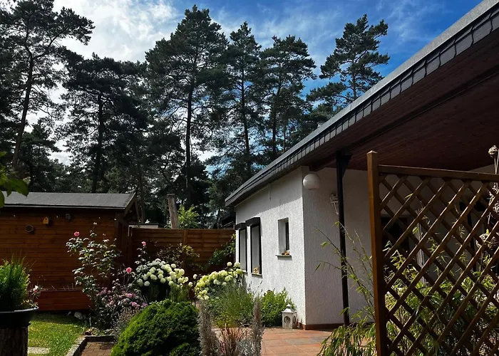 Kiefernblick Plötzky