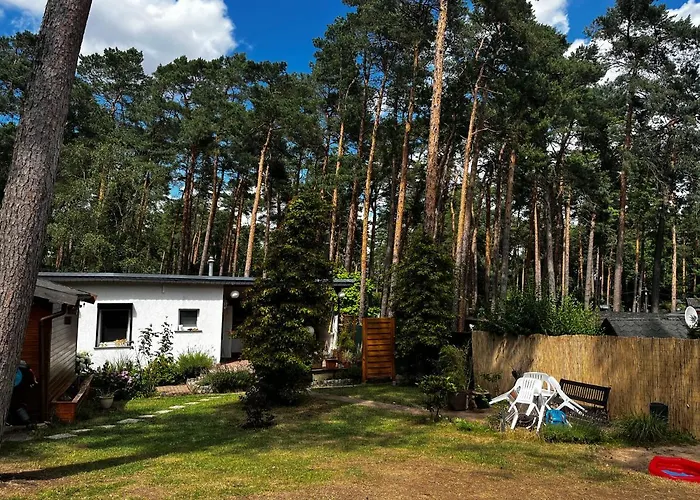 Kiefernblick Plötzky